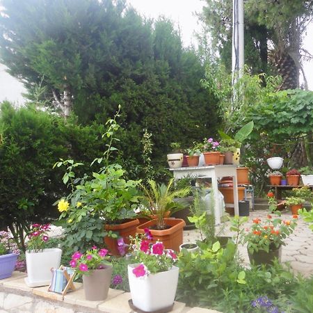 Brankas Apartments Bar Dış mekan fotoğraf